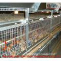 Pullet rearing baby chick cage